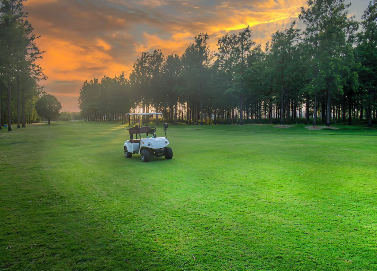 For adults and juniors alike For adults and juniors alike