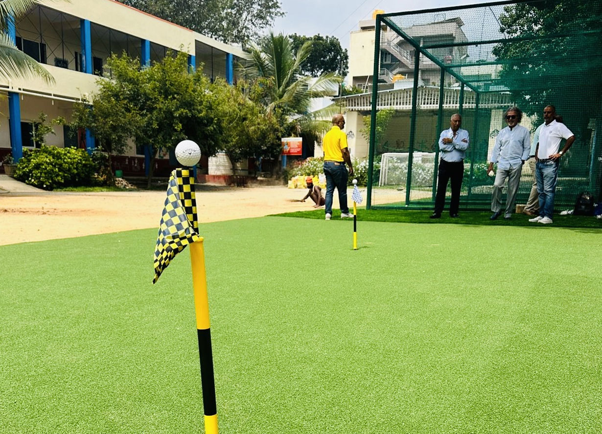 Vidya Vikas Government High School